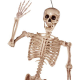 5.6 ft White Posable Skeleton Halloween Decoration