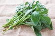 Fresh Jute Leaves
