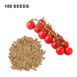 Super Sweet 100 Tomato Seeds Sweet Cherry Tomatoes High Yield Disease Resistant Non GMO Garden Seeds