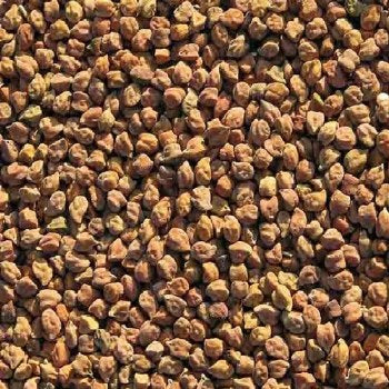 Chana