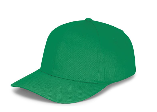 Panel Caps 6204 Cotton Twill Fabric - Kelly, Structured 6-Panel, Low-Profile, Pro-Model, Snapback Adjustable (One Size)