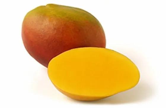 Kent Mango