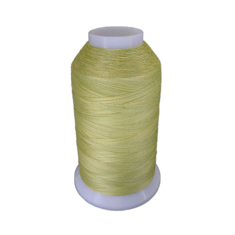 Cotton Thread Date Palm King Tut