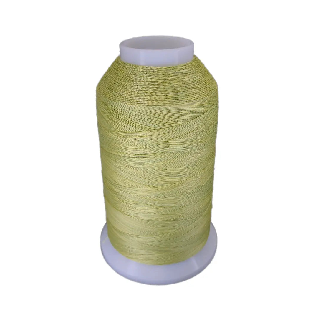 Cotton Thread Date Palm King Tut
