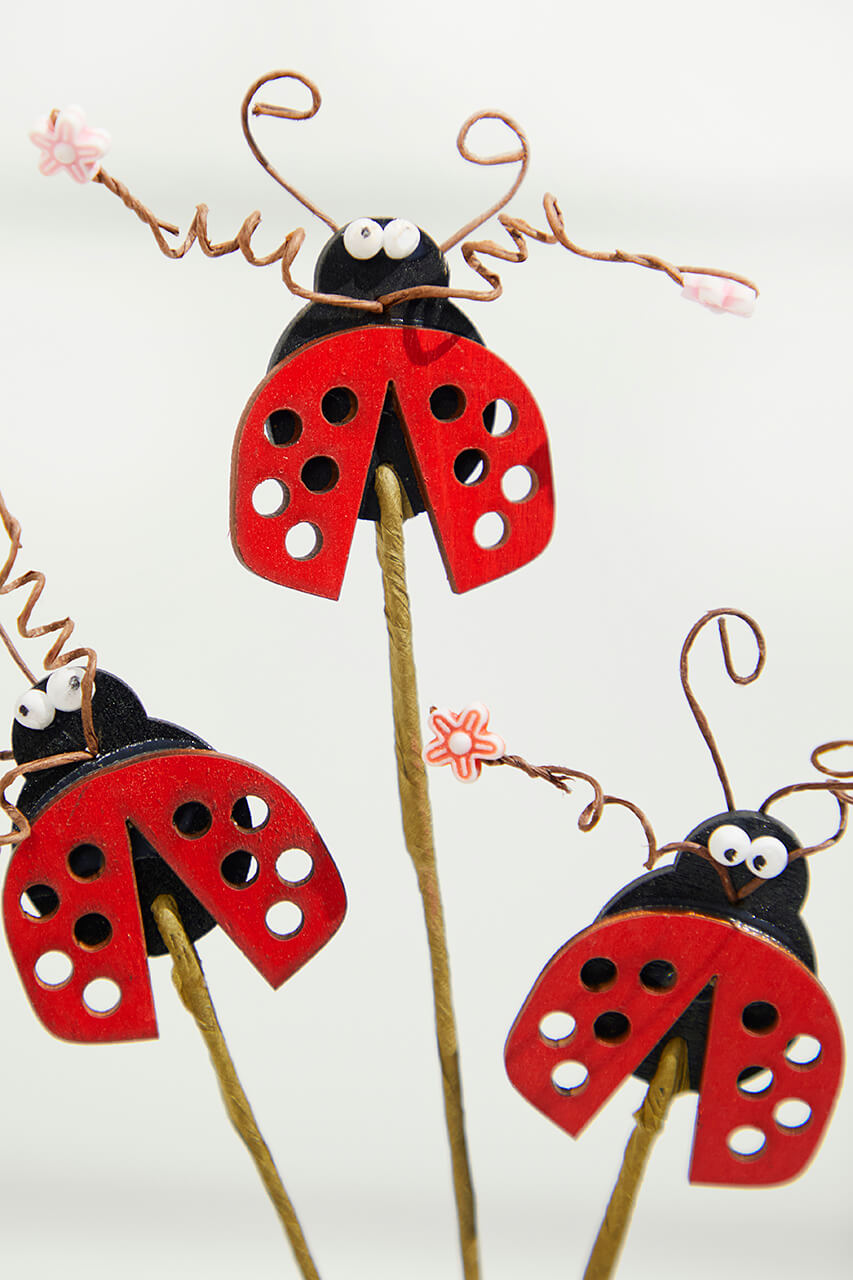 17" Lady Bug Pick