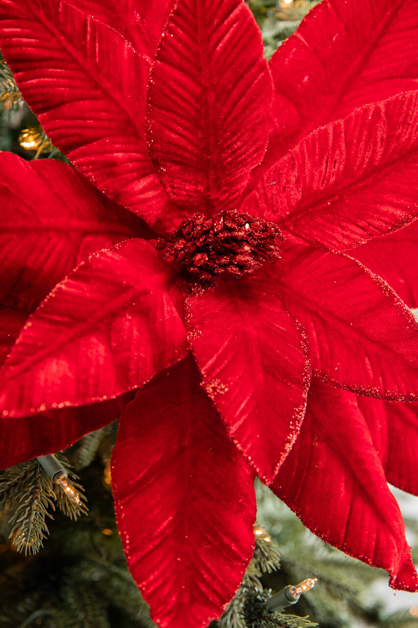 22” x 17” Giant Velvet Poinsettia Stem - Deep Red