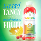Gt's Living Foods Organic Synergy Trilogy Unpasteurized Raw Kombucha
