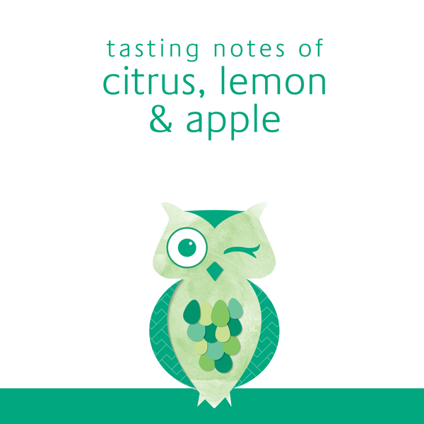 Winking Owl Sauvignon Blanc