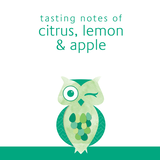 Winking Owl Sauvignon Blanc