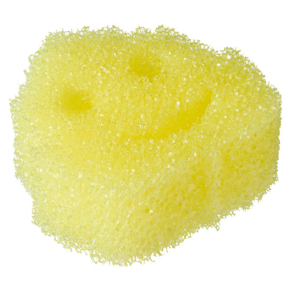 Scrub Daddy Yellow Leaf