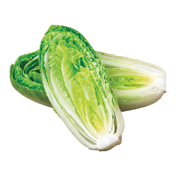 Organic Romaine Hearts