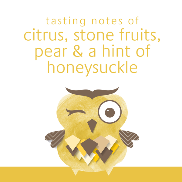 Winking Owl Pinot Grigio White Wine