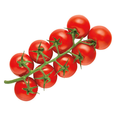 Snacking Tomatoes on the Vine