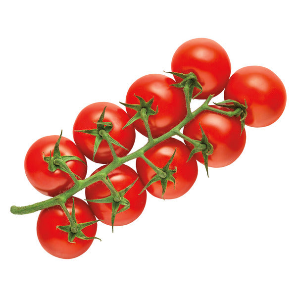 Snacking Tomatoes on the Vine