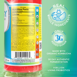 Gt's Living Foods Organic Synergy Trilogy Unpasteurized Raw Kombucha