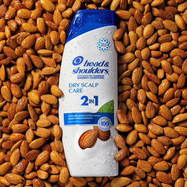 Head & Shoulders 2-in-1 Dry Scalp Care Shampoo & Conditioner 12.75 fl oz
