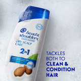Head & Shoulders 2-in-1 Dry Scalp Care Shampoo & Conditioner 12.75 fl oz