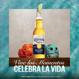 Corona Extra Beer - 6 Pack, 12 fl oz Bottles