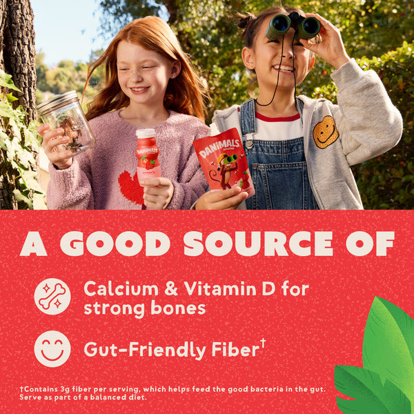 Dannon Strawberry Smoothies