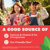 Dannon Strawberry Smoothies