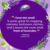 Fabuloso Multi Purpose Cleaner Lavender