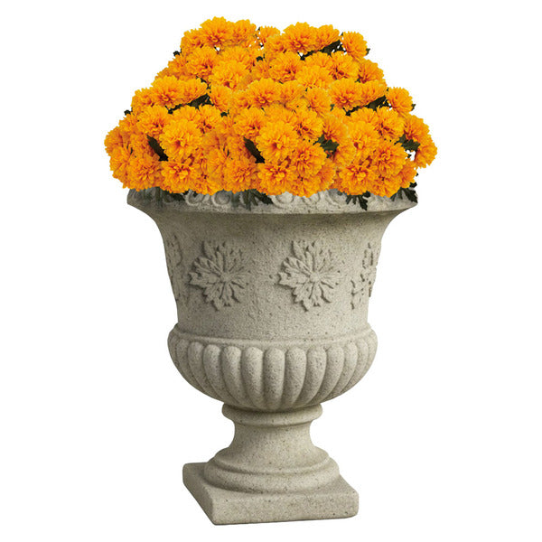 Kirkton House Marigold Drop-In Mum