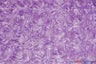 Rosette Satin Polyester Fabric - 3D Satin Floral Embroidery, 52/54" Width (Yards, Bolts, Sample Swatch)
