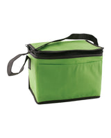 Non-Woven Lunch Cooler Bag