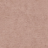 Plush Cuddle Fabric Luxe Frosted Baby Seal Cedarwood 58/60
