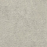 Luxe Cuddle Frosted Baby Seal Night Fabric 58/60"