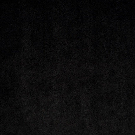 Black Luxe Cuddle Velvet Fabric 58/60"