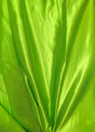 Lime Bridal Satin Fabric - Lime, 58"-60" Width (1 Yard)
