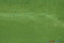 Crystal Organza Polyester Fabric - Sparkle Sheer, 58/60" Width, Yards & Bolts (1 Yard)