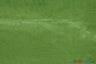Crystal Organza Polyester Fabric - Sparkle Sheer, 58/60" Width, Yards & Bolts (1 Yard)