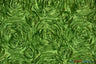 Rosette Satin Polyester Fabric - 3D Satin Floral Embroidery, 52/54" Width (Yards, Bolts, Sample Swatch)