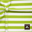 Organic Cotton Lycra Knit Lime/Natural Stripe