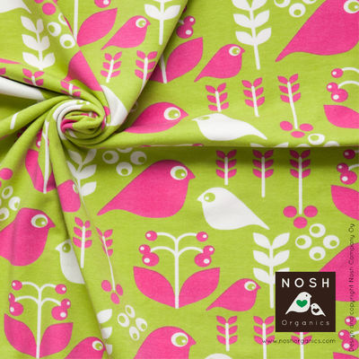 Organic Cotton Lycra Knit Fabric - Good Morning Lime/Fuchsia
