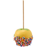 Rainbow Sprinkles Large 26oz Pack Sprinkle Mix, Fancy Sprinkles For Cake Decorating, Handheld Container