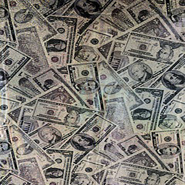 Polyester Spandex Random Money Hologram Fabric
