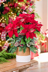 24" Potted Poinsettia Classic Red Christmas Floral Décor