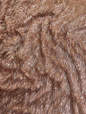 Fringe Sequin on Mesh Rose Gold