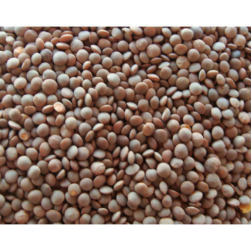 Masoor Dal with skin 2lb