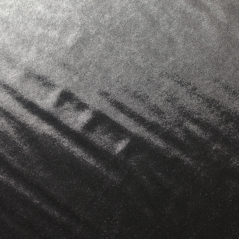 Matrix Foil PFP Polyester Spandex Fabric - Black And White, Foil Finish, 58-60" Width, 200 GSM (1 Yard)