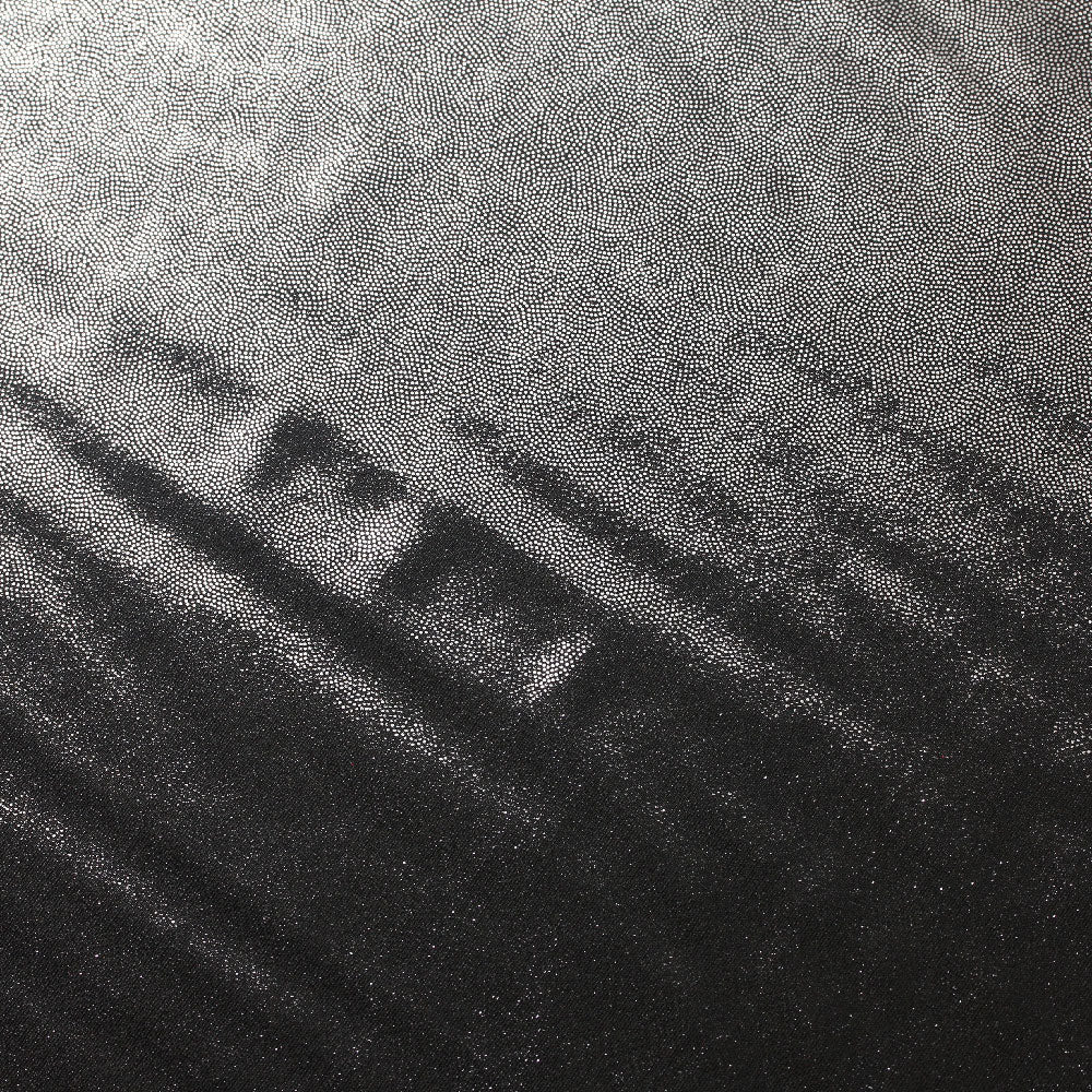 Matrix Foil PFP Polyester Spandex Fabric - Black And White, Foil Finish, 58-60" Width, 200 GSM (1 Yard)
