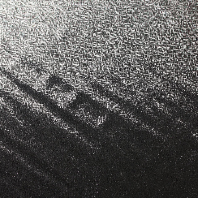 Matrix Foil PFP Polyester Spandex Fabric - Black And White, Foil Finish, 58-60" Width, 200 GSM (1 Yard)