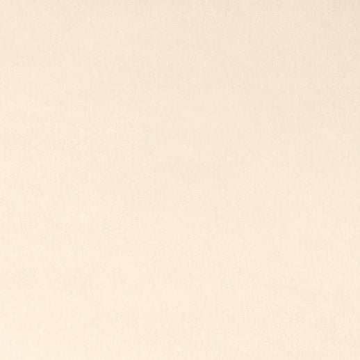 Minky Fabric Marshmallow Cuddle Pearl 58/60"