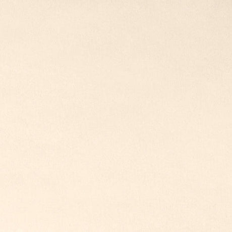 Minky Fabric Marshmallow Cuddle Pearl 58/60"