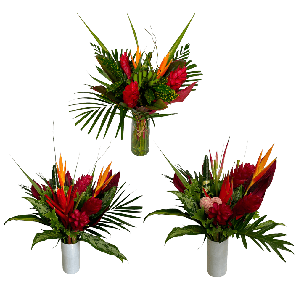 Medium Collection Tropical Bouquet Fresh Flower Arrangement