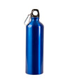 25oz Aluminum Alpine Bottle