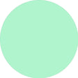 Prolite Heat Transfer Vinyl Fabric - Mint, Plain, 20" H x 12" W (Foot)